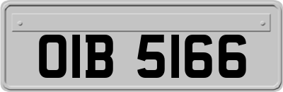 OIB5166
