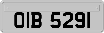 OIB5291