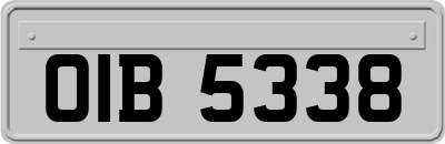 OIB5338