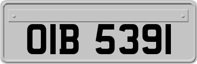 OIB5391