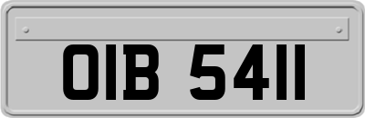 OIB5411