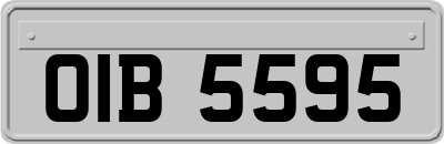 OIB5595