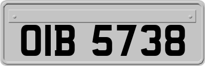 OIB5738