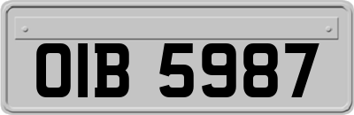 OIB5987
