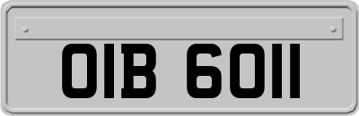 OIB6011