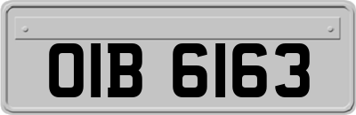 OIB6163