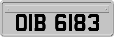OIB6183