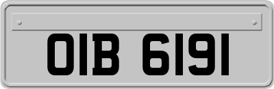 OIB6191