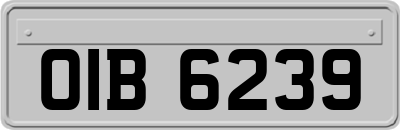 OIB6239