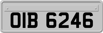 OIB6246