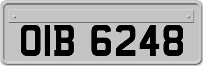 OIB6248