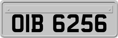 OIB6256