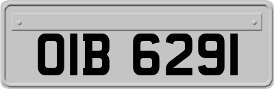 OIB6291