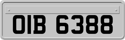 OIB6388
