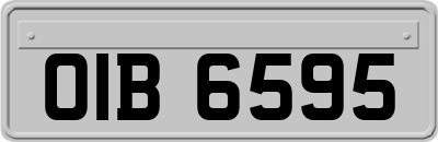 OIB6595