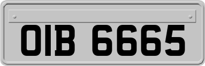 OIB6665