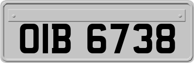 OIB6738