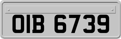 OIB6739