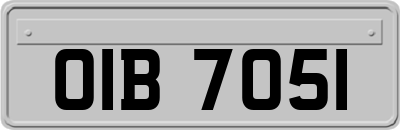 OIB7051