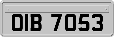 OIB7053