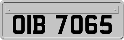OIB7065