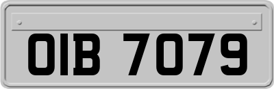 OIB7079