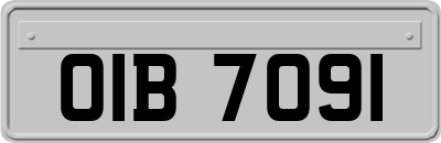 OIB7091