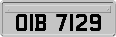OIB7129