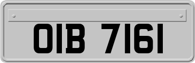 OIB7161
