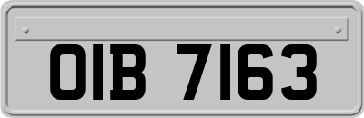 OIB7163