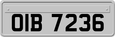 OIB7236