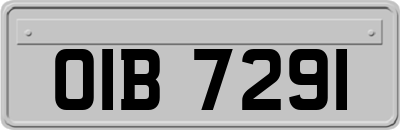 OIB7291