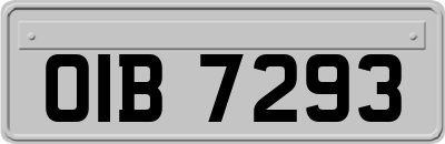 OIB7293