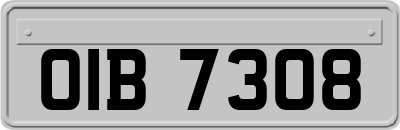 OIB7308