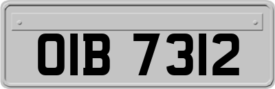 OIB7312