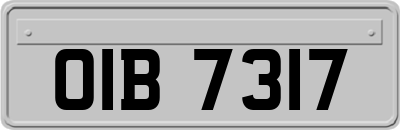 OIB7317