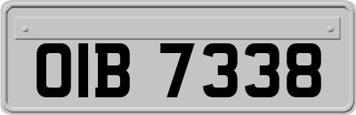 OIB7338