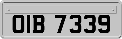 OIB7339