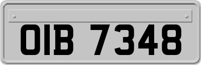 OIB7348