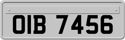 OIB7456