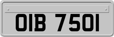 OIB7501