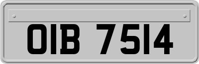 OIB7514