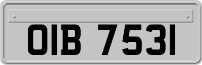 OIB7531