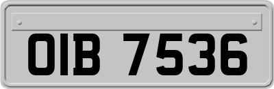 OIB7536