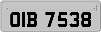 OIB7538