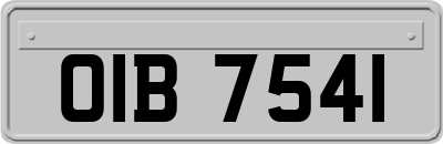 OIB7541