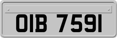 OIB7591