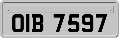 OIB7597