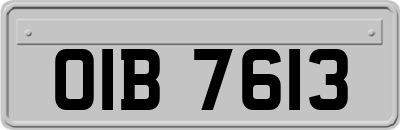 OIB7613