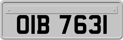 OIB7631